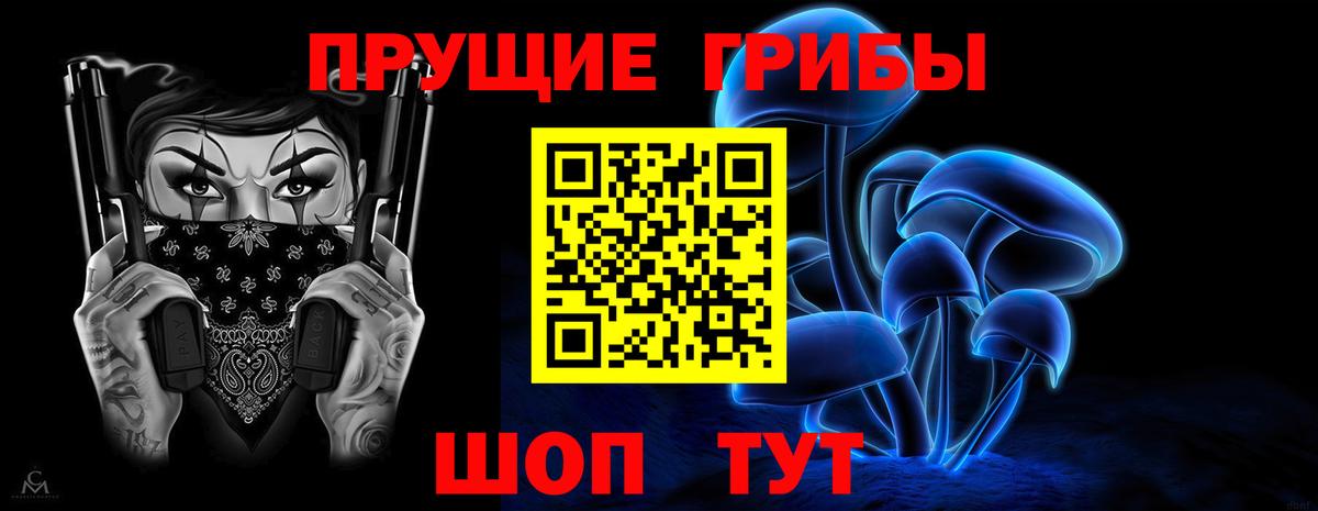 Галлюциногенные грибы Psilocybe Лангепас
